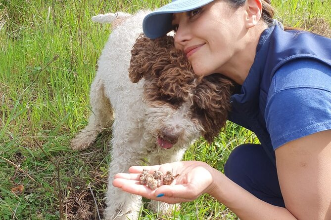 Truffle Hunting Experience in Assisi - Activity Type and Cancellation