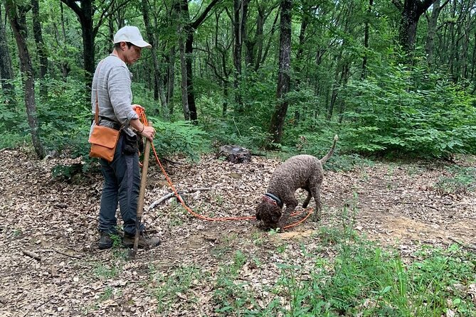 Truffle Hunting: Guided Tour and Pasta Cooking With Lunch - Mastering the Art of Pasta