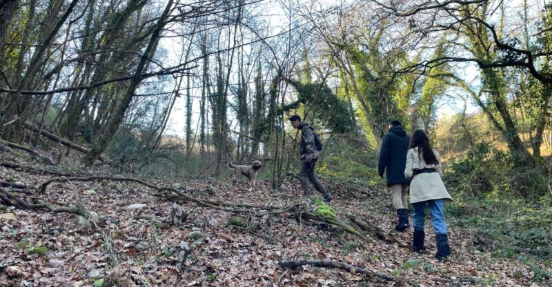 Truffle Hunting in Chianti With Pasta Cookingclass and Lunch - Location and Meeting Point