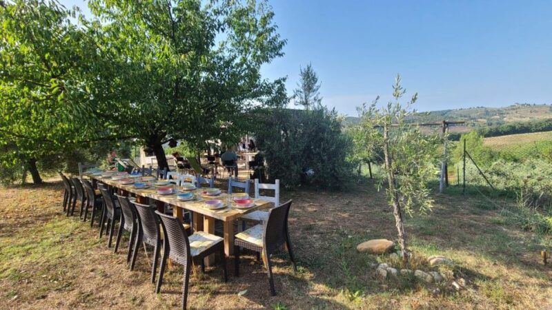 Truffle Hunting in Chianti With Pasta Cookingclass and Lunch - Participant Information