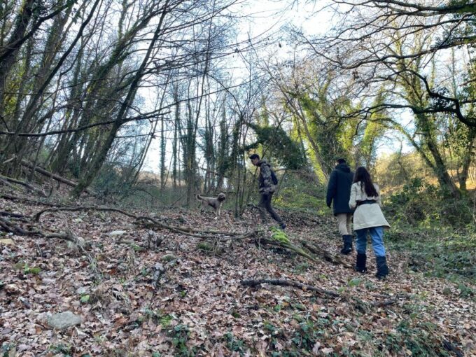 Truffle Hunting in Chianti With Pasta Cookingclass and Lunch - Lunch With Truffle Delicacies