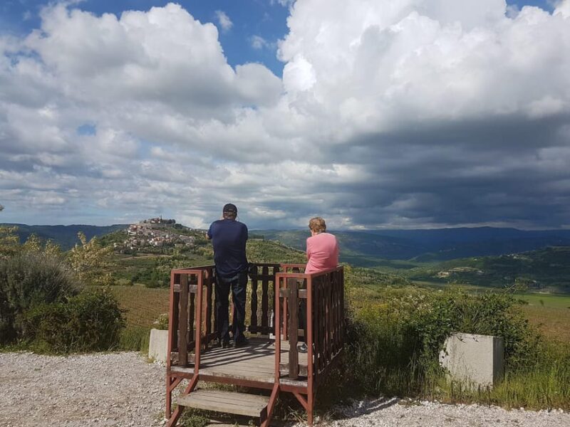 Truffle Hunting in Istria Private Experience - What to Expect