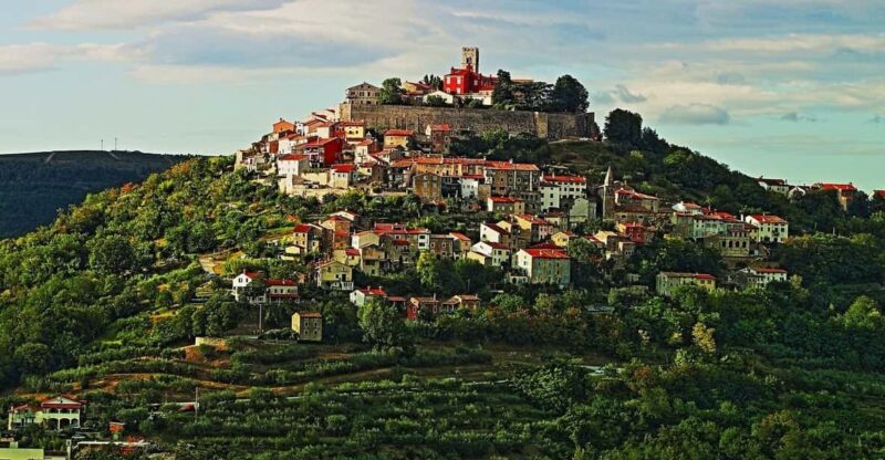 Truffle Hunting in Istria Private Experience - Pricing and Booking