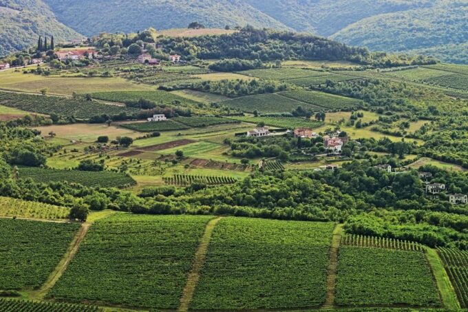 Truffle Hunting in Istria Private Experience - Frequently Asked Questions