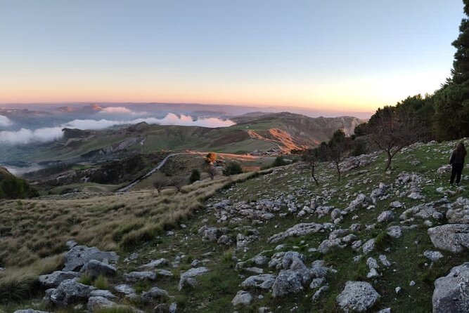 Truffle Hunting in the Sicani Mountains: a Unique Experience in Sicily - Recommended for Travelers