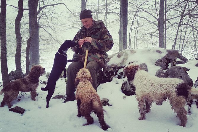 Truffle Hunting on Lake Bracciano With Lunch - Tour Duration and Group Size