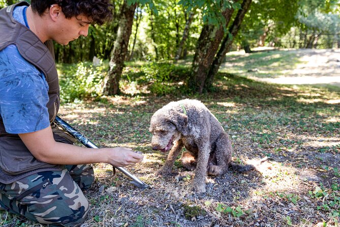 Truffle Hunting & Truffle Cooking Class - Truffle Hunting Techniques