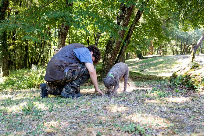 Truffle Hunting & Truffle Cooking Class - Truffle Preparation Workshop