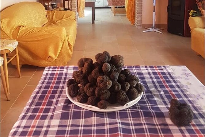 Truffle Hunting With Food Tasting - Overview of the Experience