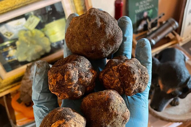 Truffle Hunting With Food Tasting - Ratings and Reviews Breakdown