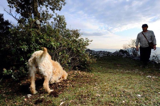 Truffle Hunting With Tasting Included - Umbria, Italy - Meeting Point and Pickup Details