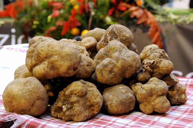 Truffle Hunting With Tasting Included - Umbria, Italy - What to Expect During the Activity