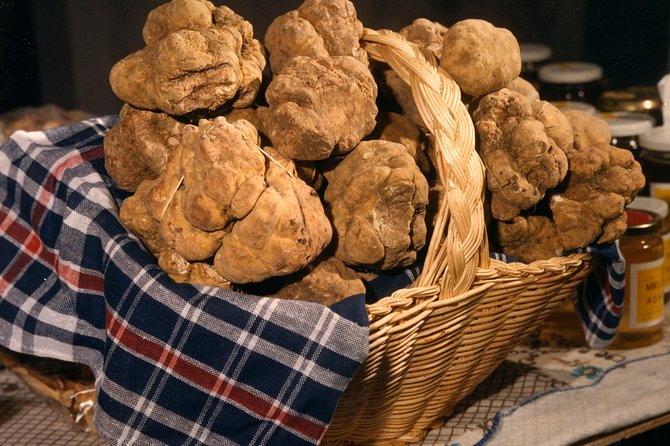 Truffle Hunting With Tasting Included - Umbria, Italy - Cancellation and Refund Policy