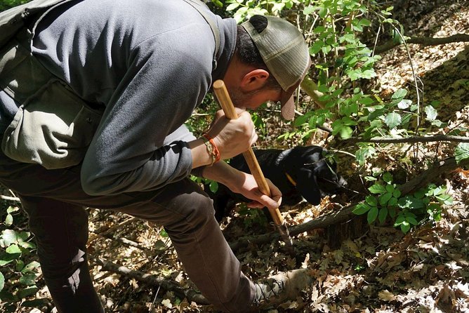 Truffle Hunting With Wine Tasting in Chianti - Fresh Truffle-Based Lunch