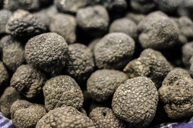 Truffle Hunting With Wine Tasting in Chianti - Pricing and Cancellation Policy