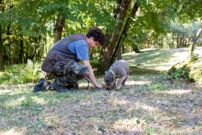 Truffle Lunch & Hunting Experience in San Gimignano - Truffle Hunting and Harvesting
