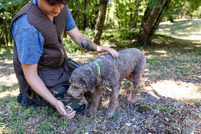 Truffle Lunch & Hunting Experience in San Gimignano - Truffle-Inspired Lunch Experience