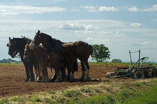 Truly Authentic Lancaster Experience! - Explore Amish Culture
