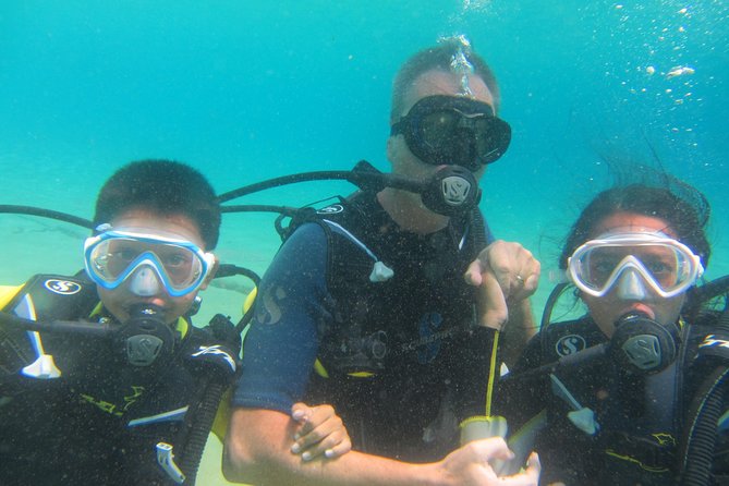 Try a Dive, Discover Scuba Diving in Mykonos - Confirmation and Accessibility