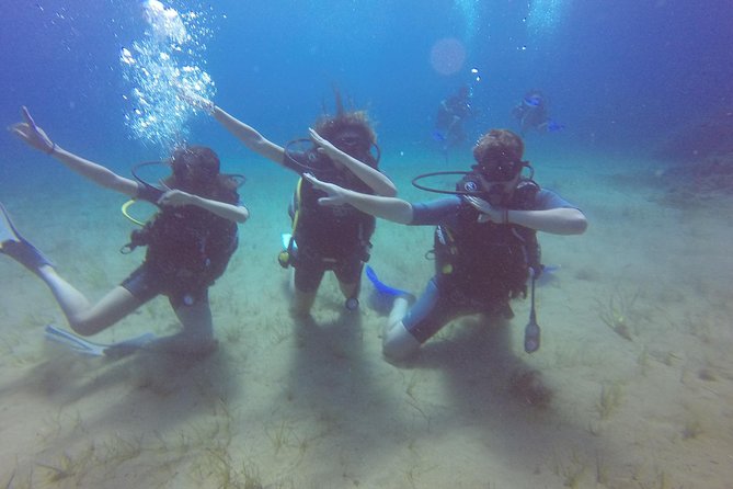 Try a Dive, Discover Scuba Diving in Mykonos - Underwater Photography