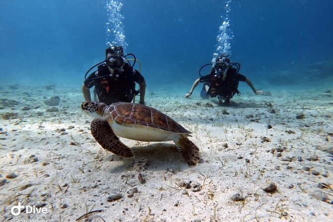 Try a Scuba Diving Experience - Cancellation and Refund Policy