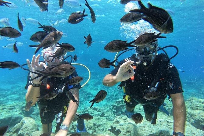 Try a Scuba Diving Experience - Potential Weather-Related Cancellations