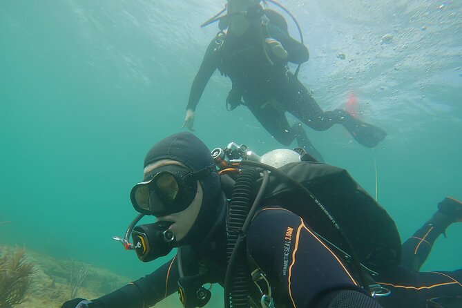 Try an Exciting SCUBA Dive on the #1 Reef in the US - Key Points