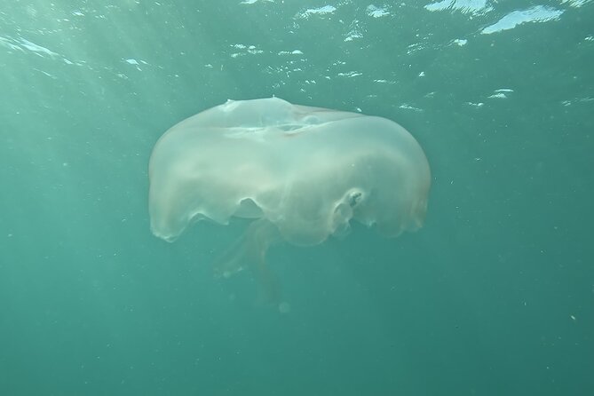 Try an Exciting SCUBA Dive on the #1 Reef in the US - Frequently Asked Questions