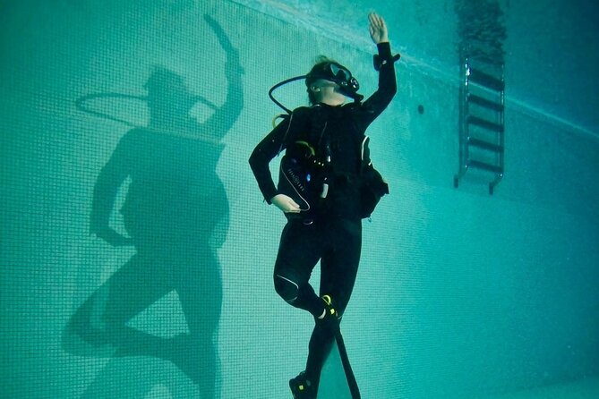 Try Dive - Accessibility and Requirements