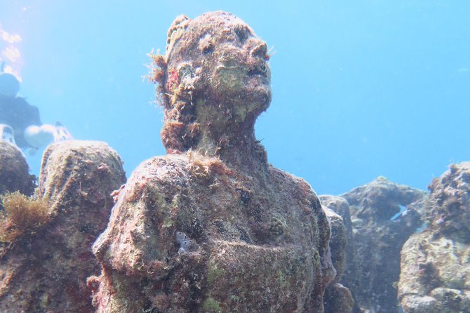 Try Dive in Cancun Underwater Museum - Location and Meeting Details