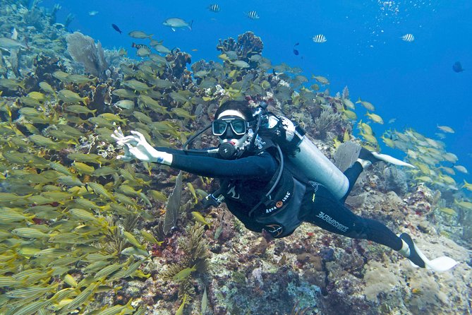Try Dive in Cancun Underwater Museum - Health and Safety Information