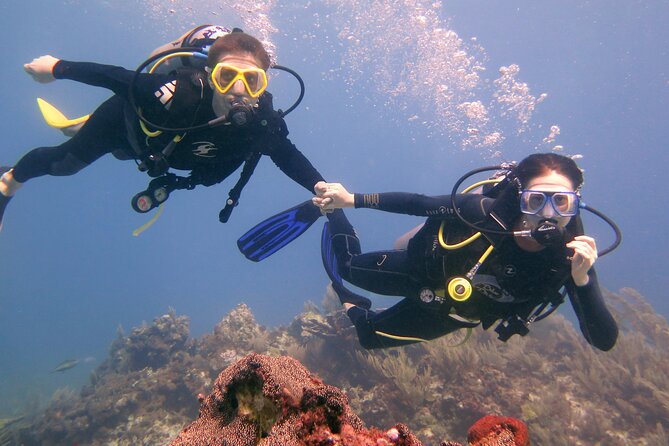 Try Dive in Cancun Underwater Museum - Preparing for the Dive