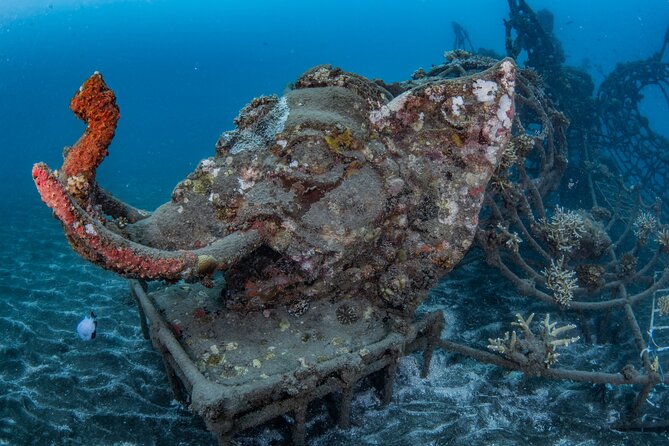 Try Dive Program in the Biorock Pemuteran - Safety Considerations and Requirements