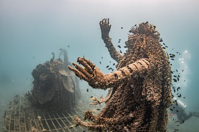 Try Dive Program in the Biorock Pemuteran - Exploring the Biorock Reef
