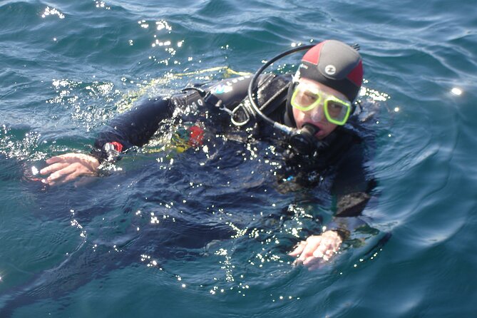 Try Dives - Discover Scuba Diving in Albufeira - Introductory Scuba Course Details