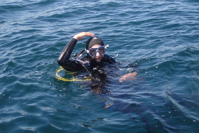 Try Dives - Discover Scuba Diving in Albufeira - Booking and Cancellation Policies