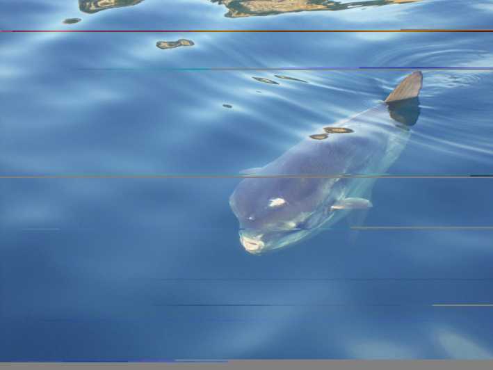 Try Diving in the Montgri Nature Reserve - Equipment and Support