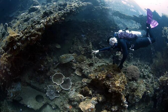 Try Diving in Tulamben - Shipwreck - Discover Marine Life in Tulamben