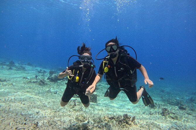 Try Diving Without Previous Experience From Shore - Inclusions and Amenities