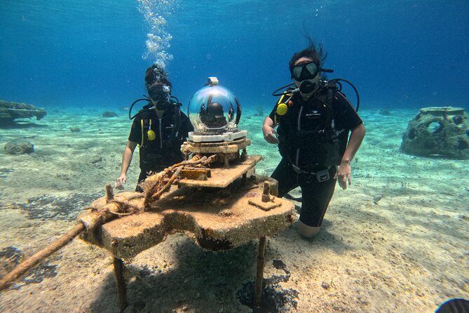 Try Diving Without Previous Experience From Shore - Participation Requirements