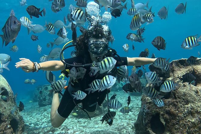 Try Diving Without Previous Experience From Shore - Cancellation and Payment Options