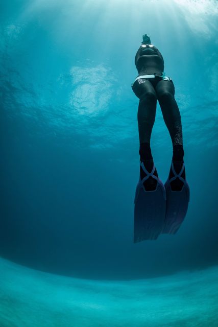 Try Free Diving in the Island of the Big Blue - Program Overview