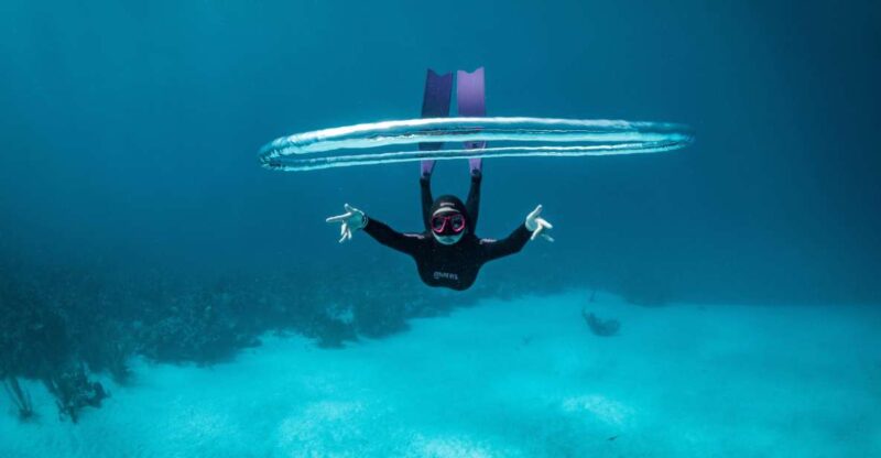 Try Free Diving in the Island of the Big Blue - Ideal Participants
