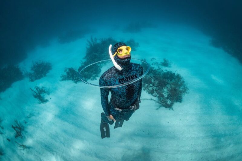 Try Free Diving in the Island of the Big Blue - Included Equipment