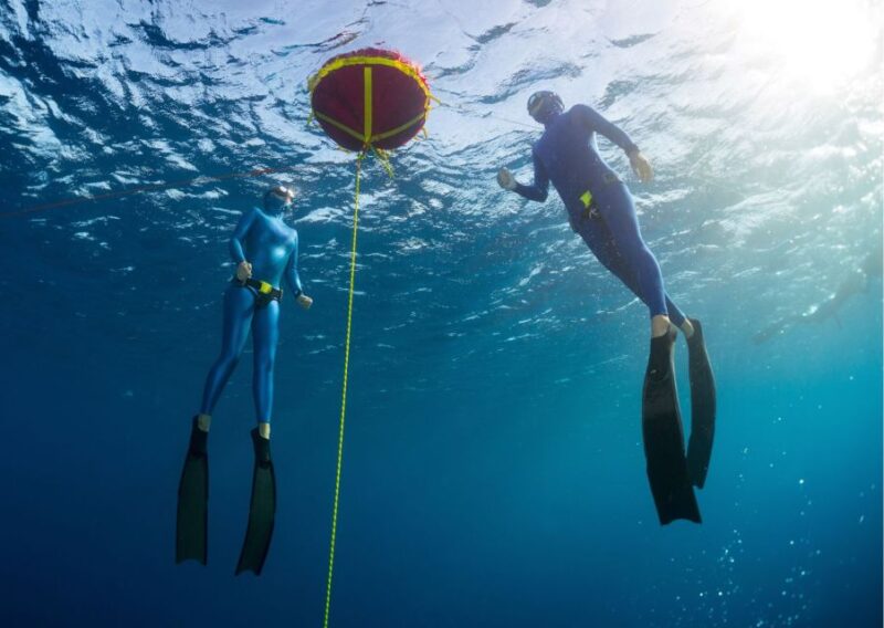 Try Freediving Experience in Arrábida Marine Reserve - Itinerary Details