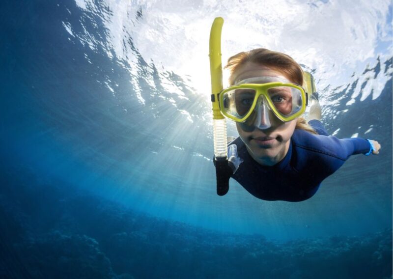 Try Freediving Experience in Arrábida Marine Reserve - Safety and Equipment