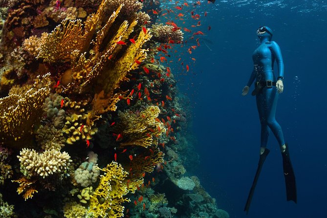Try Freediving on Nusa Penida - Personalized Instruction and Small Group Size