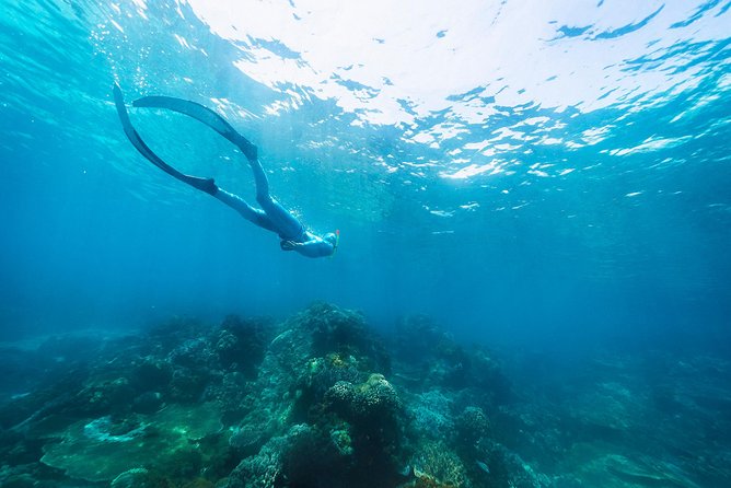 Try Freediving on Nusa Penida - Inclusions and Convenient Transportation