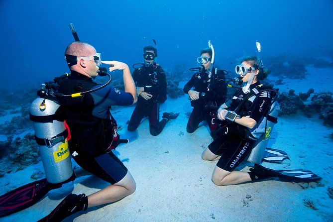 Try Scuba Dive (Baptism of the Sea) - Scuba Diving Experience Overview