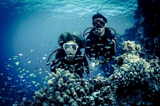 Try Scuba Dive (Baptism of the Sea) - Suitable for All Ages